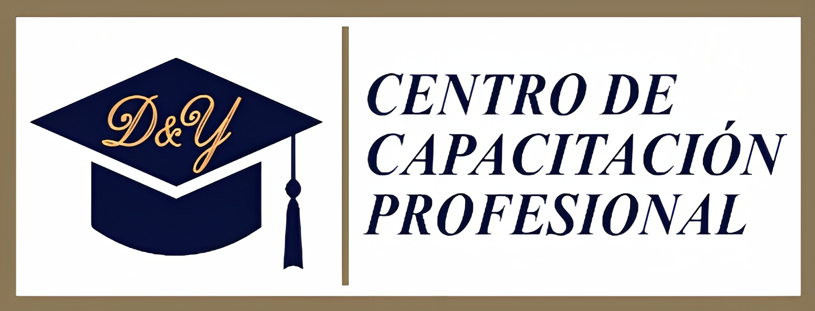 DY CENTRO DE CAPACITACIÓN PROFESIONAL